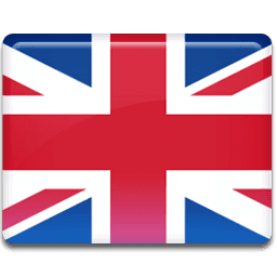 Selected Language Flag