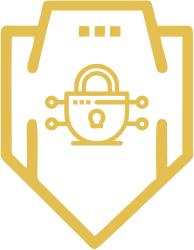 Cybersecurity Consultant